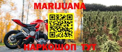 гидропоника Кингисепп