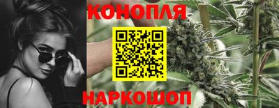 гидропоника Кингисепп