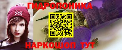 ГАЛЛЮЦИНОГЕННЫЕ ГРИБЫ Кинель