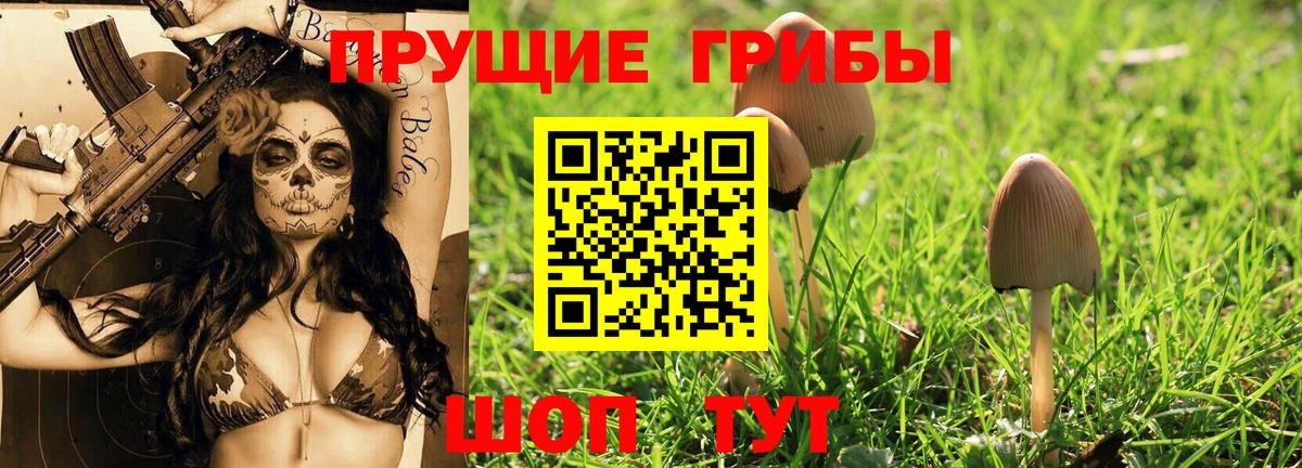 Галлюциногенные грибы GOLDEN TEACHER Коммунар
