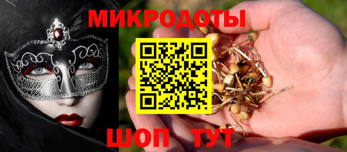 Коммунар  Галлюциногенные грибы прущие грибы  Вход с VPN  Галлюциногенные грибы GOLDEN TEACHER 